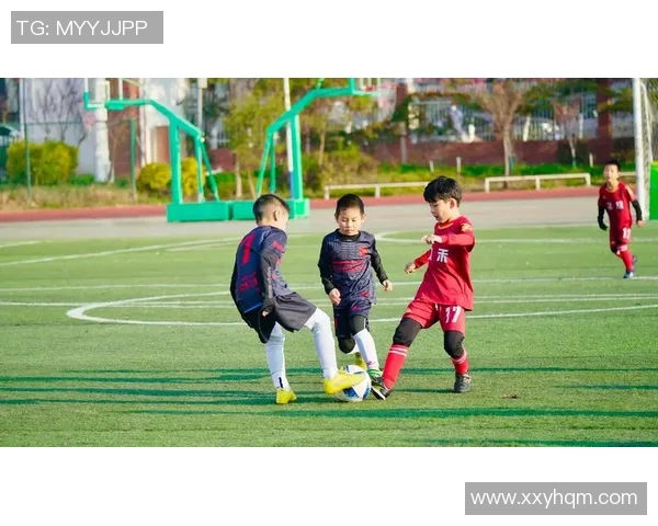 西昌踢足球明星阵容揭秘及其在足球界的影响力分析